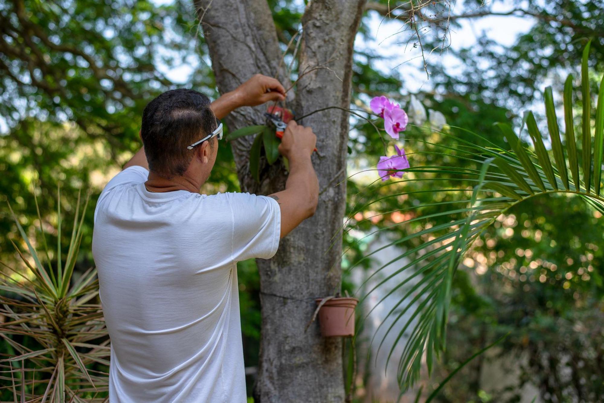 Villa Bella Ferradura Armacao dos Buzios Экстерьер фото